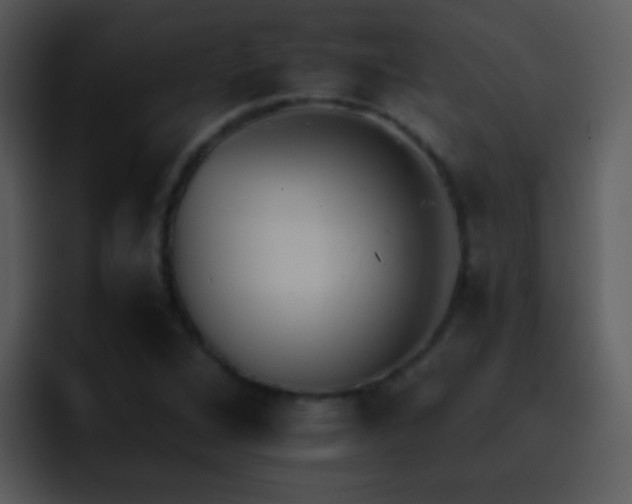 X0000095671264200801081201