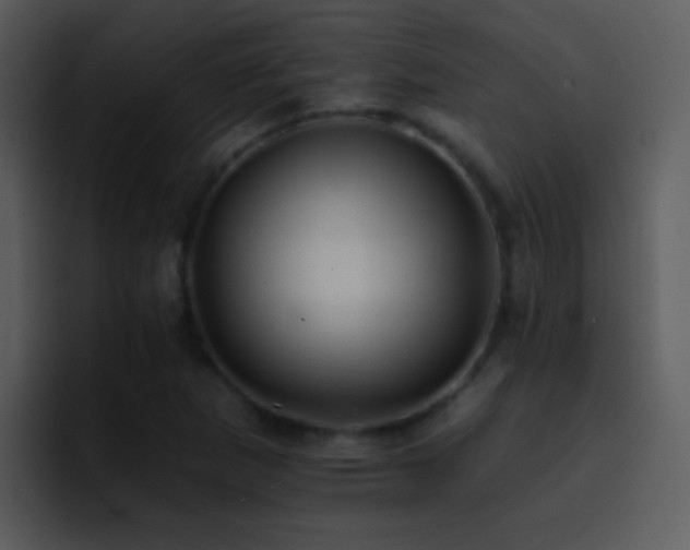 X0000095671265200801081201