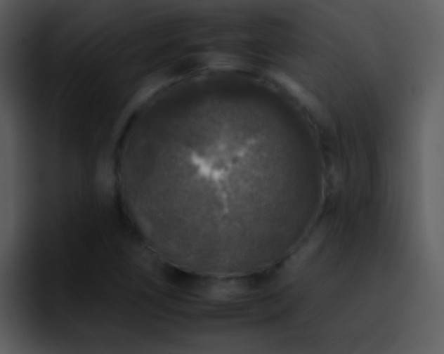 X0000095671266200801081201