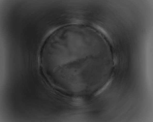 X0000095671267200801081201