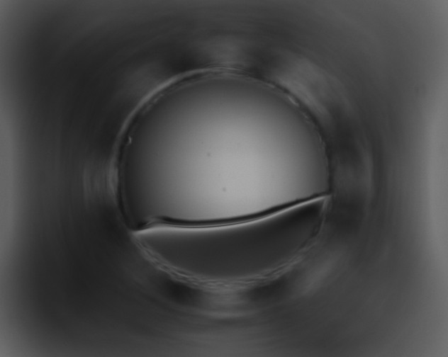 X0000095671268200801081201