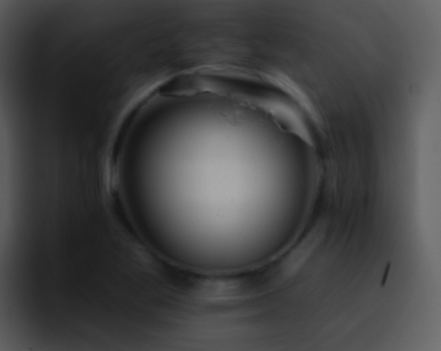 X0000095671269200801081201