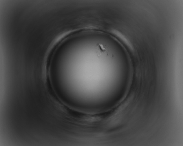 X0000095671270200801081201