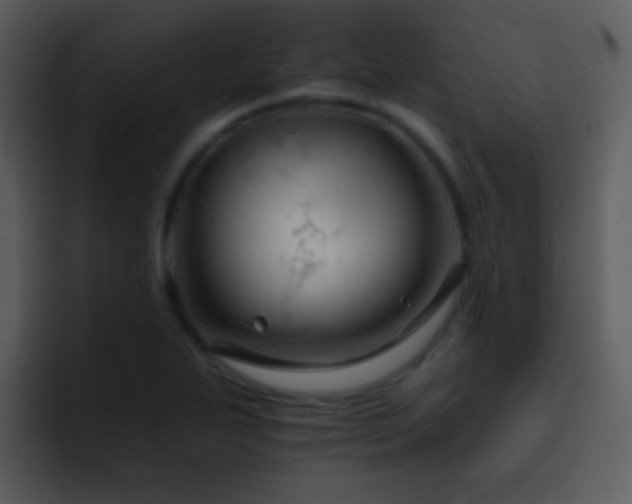 X0000095671271200801081201