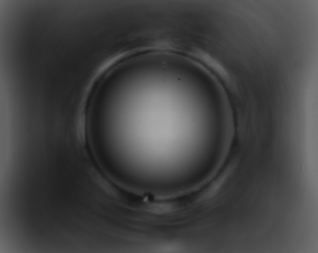 X0000095671272200801081201