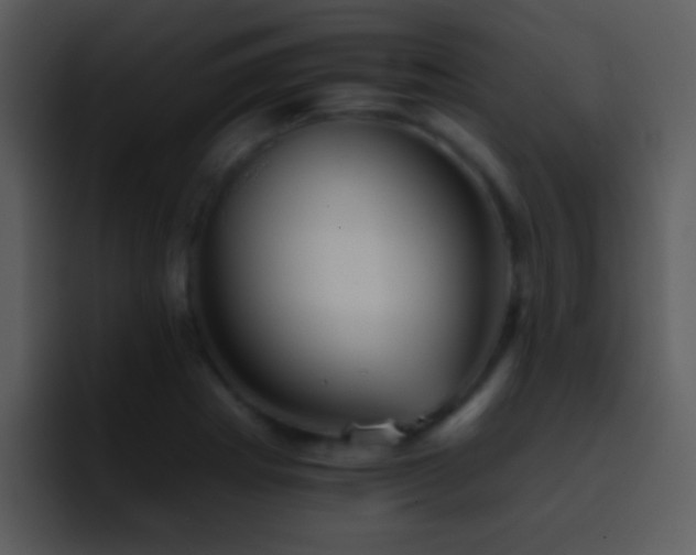 X0000095671273200801081201