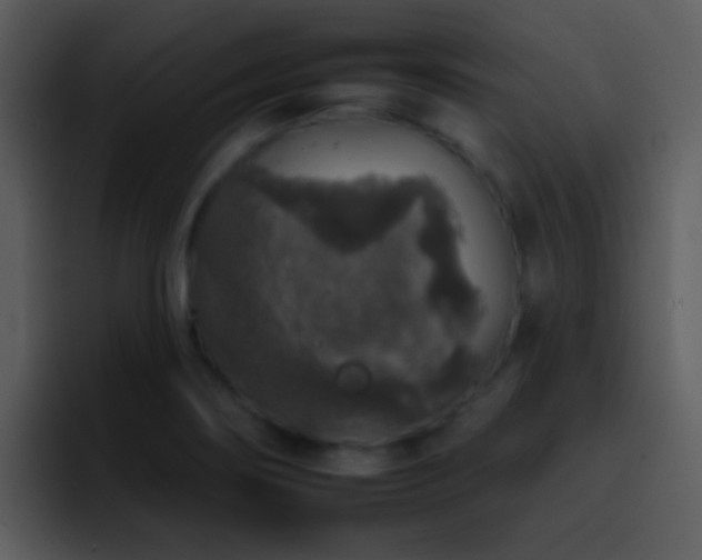 X0000095671274200801081201