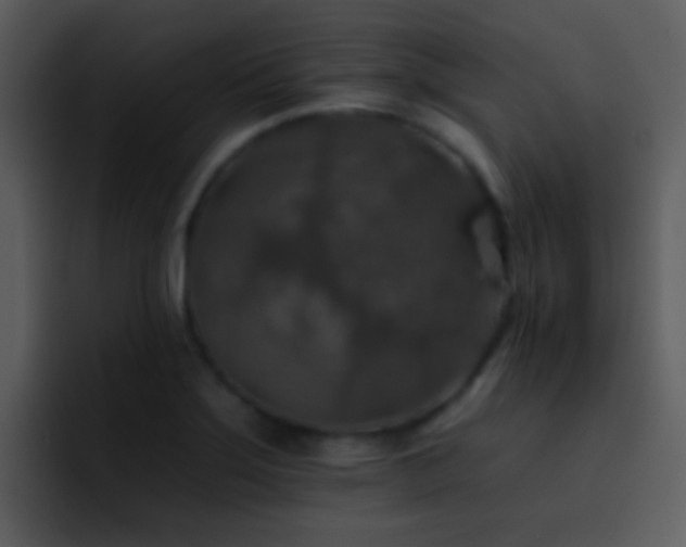 X0000095671275200801081201
