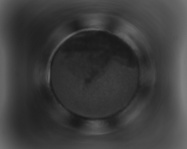 X0000095671276200801081201