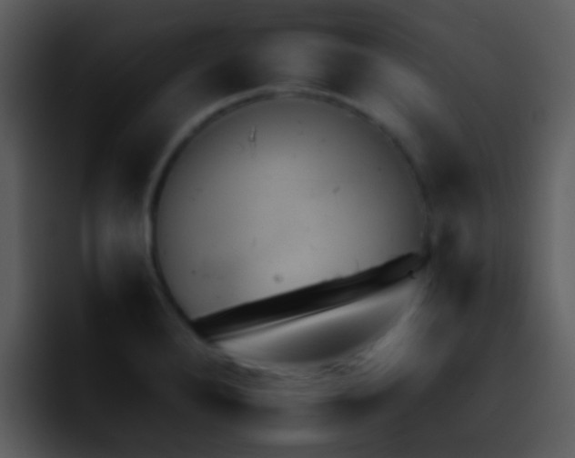X0000095671280200801081201