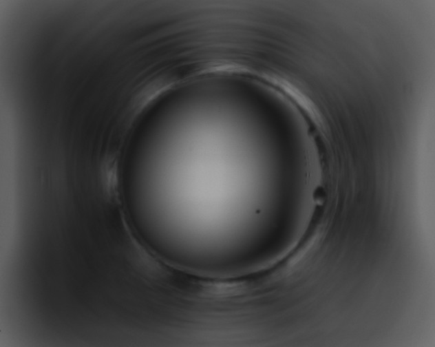 X0000095671281200801081201