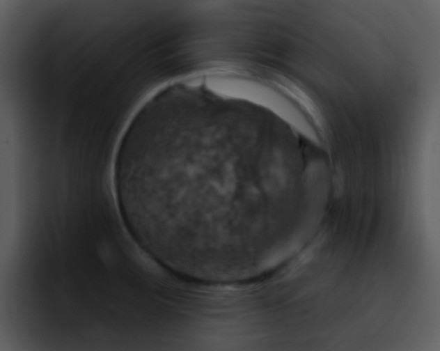 X0000095671283200801081201