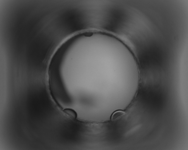 X0000095671287200801081201