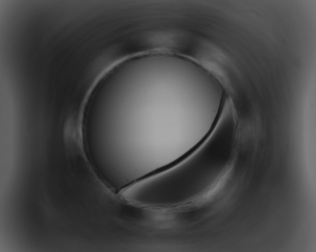 X0000095671288200801081201
