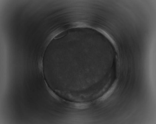 X0000095671289200801081201