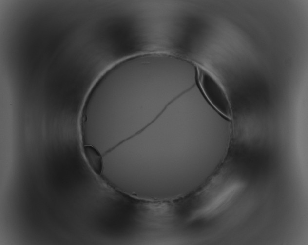 X0000095671291200801081201