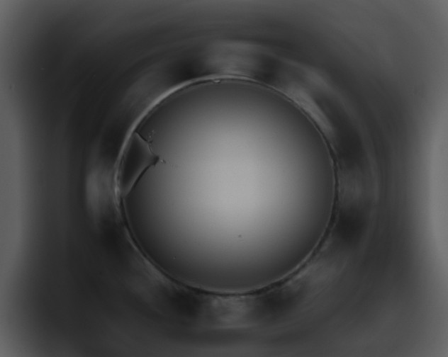 X0000095671292200801081201