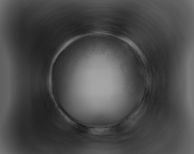 X0000095671294200801081201