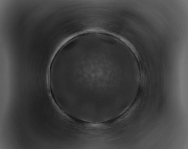 X0000095671295200801081201