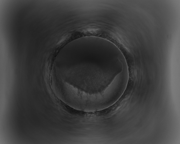 X0000095671297200801081200