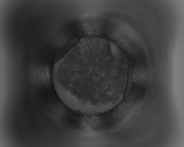 X0000095671298200801081200