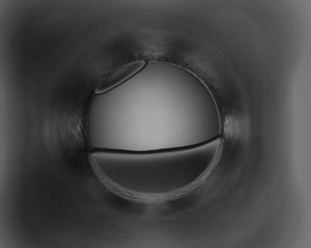 X0000095671299200801081200
