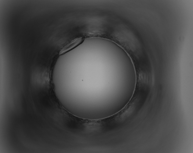 X0000095671300200801081200