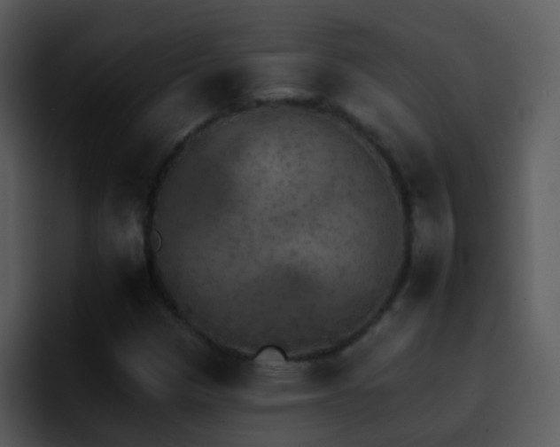 X0000095671305200801081200