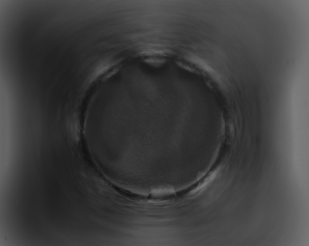 X0000095671306200801081200