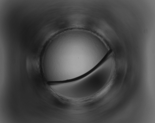 X0000095671307200801081200