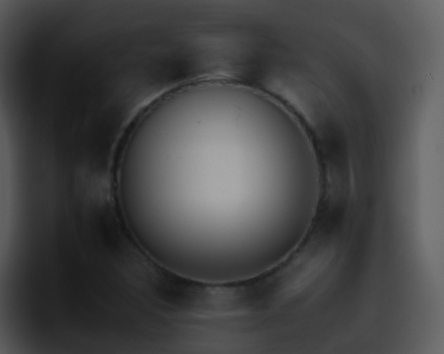 X0000095671308200801081200