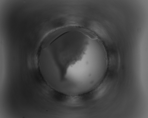 X0000095671310200801081200