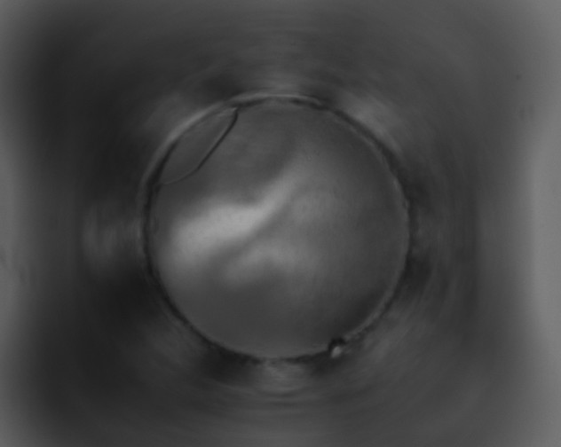 X0000095671312200801081200
