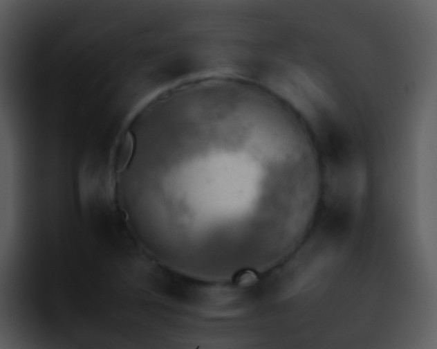 X0000095671316200801081201