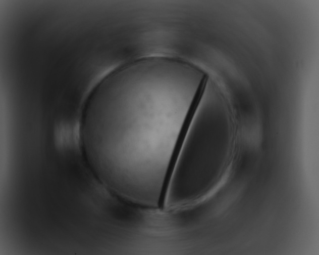 X0000095671317200801081201
