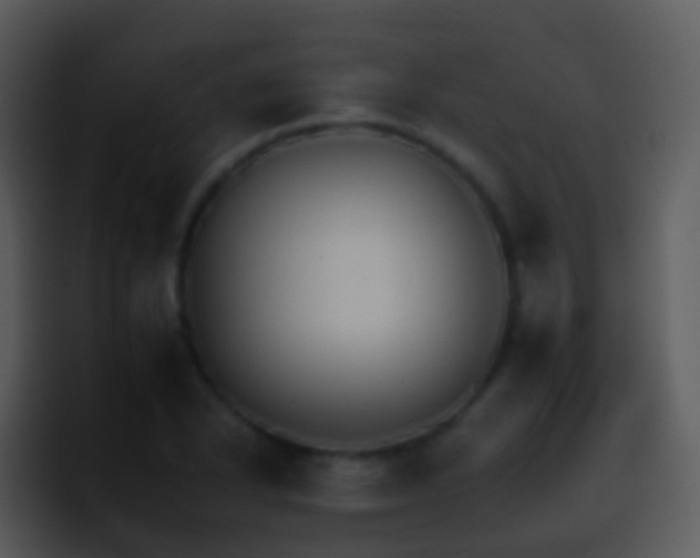 X0000095671318200801081201