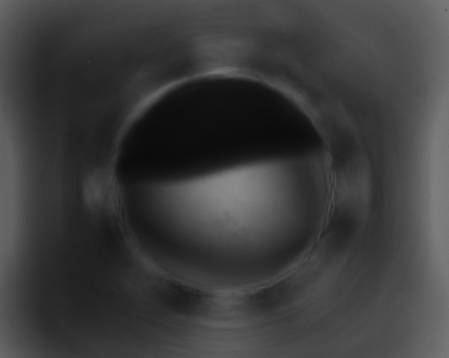 X0000095671319200801081201