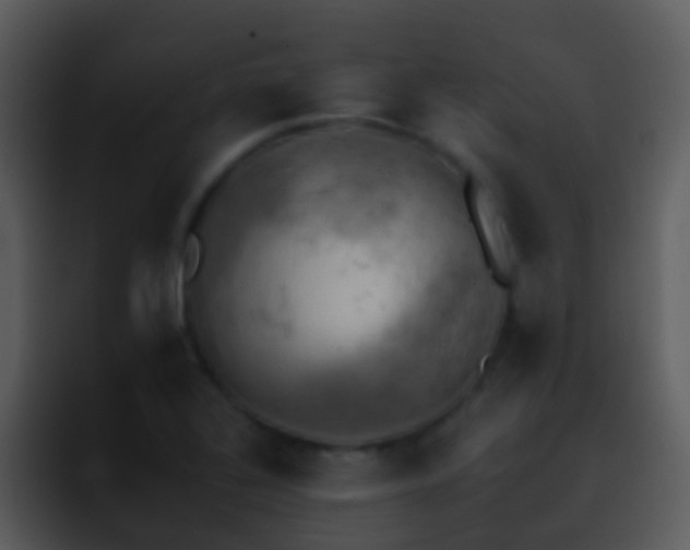 X0000095671320200801081201