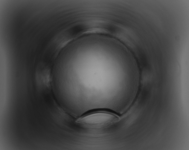 X0000095671321200801081201