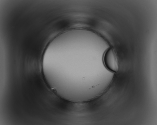 X0000095671322200801081201