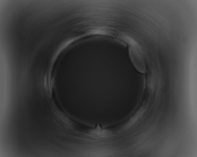 X0000095671323200801081201