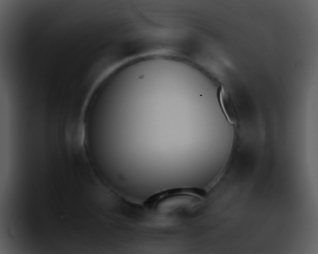 X0000095671324200801081201