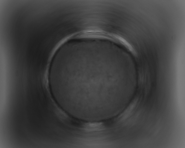 X0000095671325200801081201
