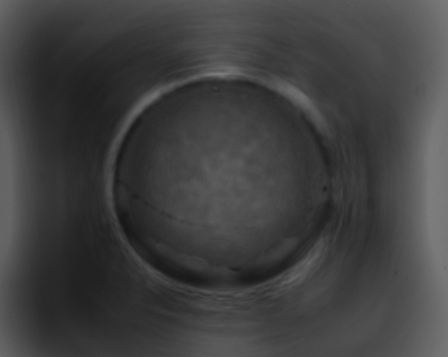 X0000095671326200801081201
