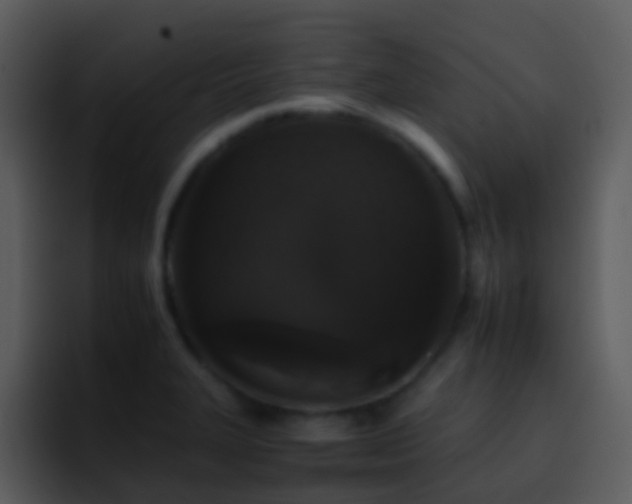 X0000095671327200801081201