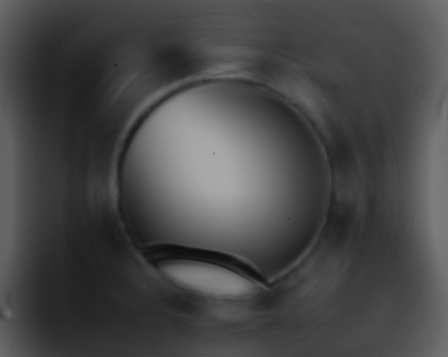 X0000095671328200801081201