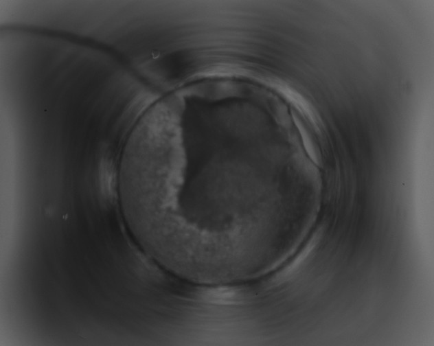 X0000095671329200801081201