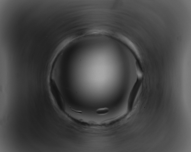 X0000095671330200801081201