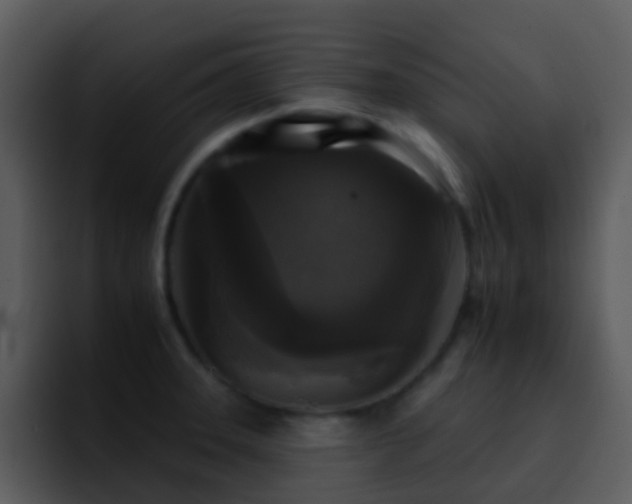 X0000095671331200801081201