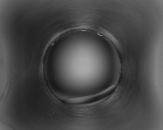 X0000095671332200801081201